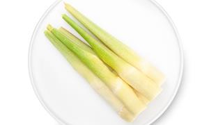 吉林镇赉茭白